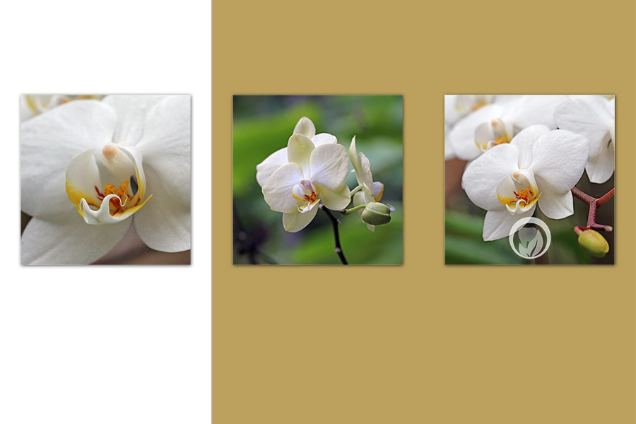 Innenarchitektur / Fotografie / FotoArt / Grafikdesign / Praxis