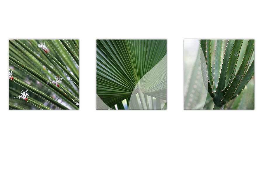 Innenarchitektur / Fotografie / FotoArt / Grafikdesign / Praxis